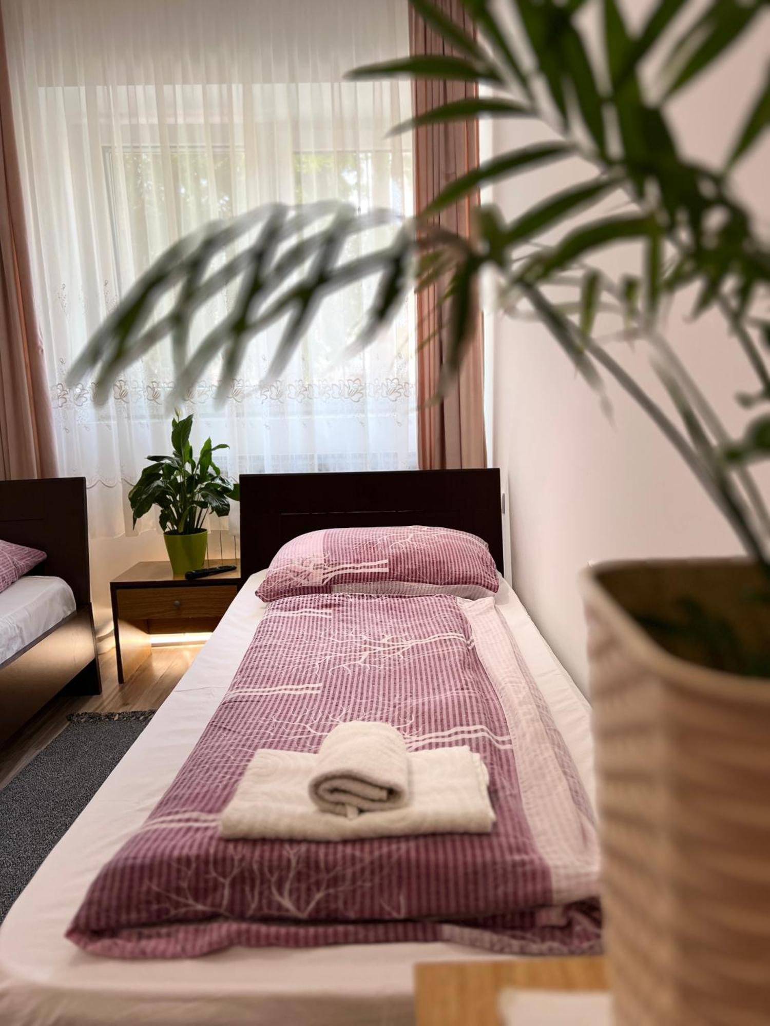 Bezdan Guesthouse Extérieur photo